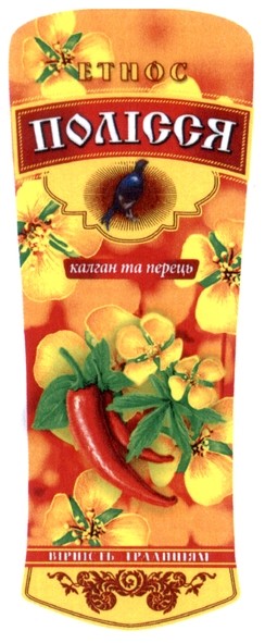 вірність традиціям