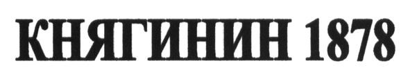 княгинин 1878