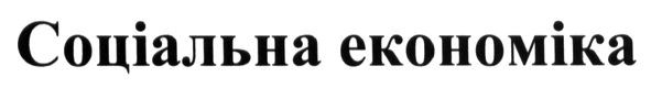 соціальна економіка