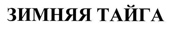 зимняя тайга