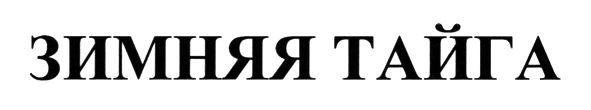 зимняя тайга