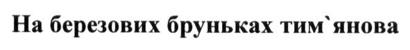 на березових бруньках тим`янова