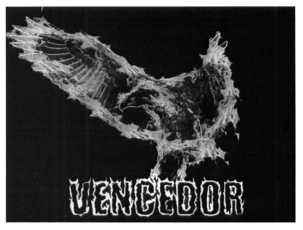 vencedor