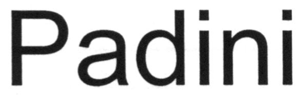padini