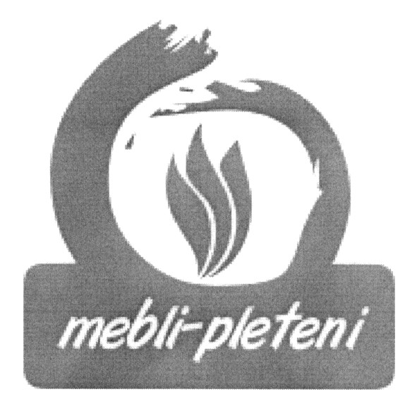 mebli-pleteni