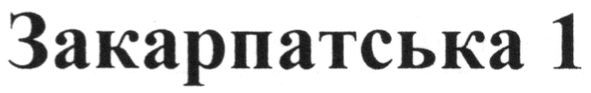 закарпатська 1