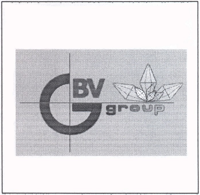 gbv group