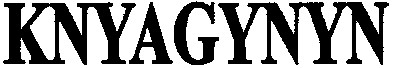 knyagynyn