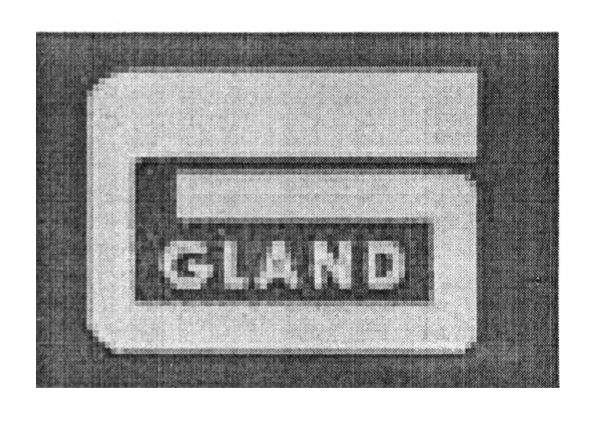 gland