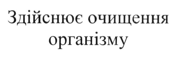 здійснює очищення організму