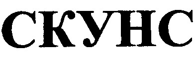 скунс