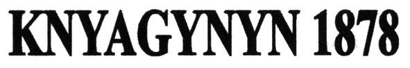 knyagynyn 1878