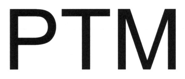ртм