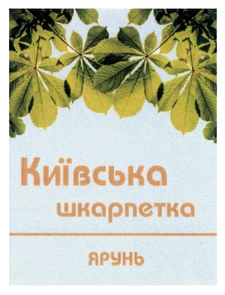 київська шкарпетка