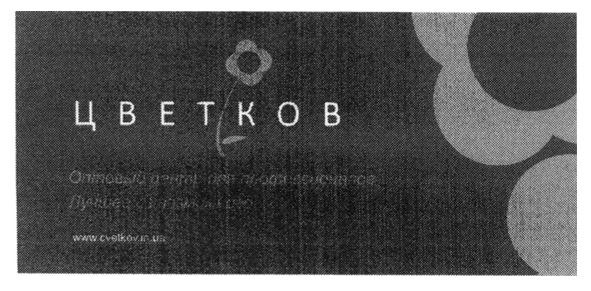 www.cvetkov.in.ua