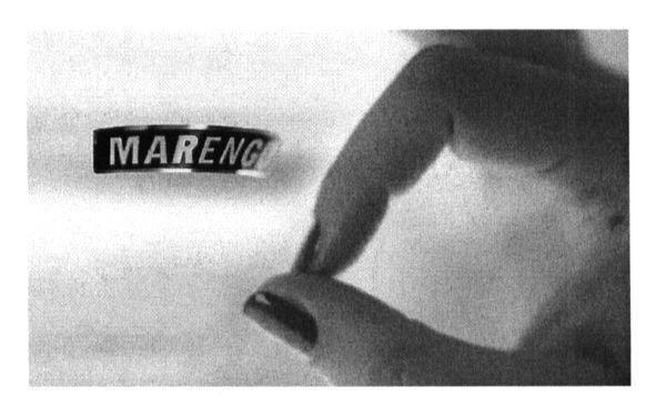 marengo
