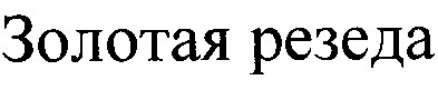 золотая резеда