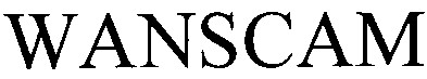 wanscam