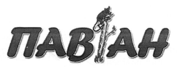 павіан