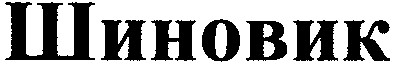 шиновик
