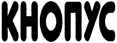 кнопус