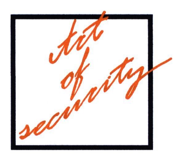 art of security