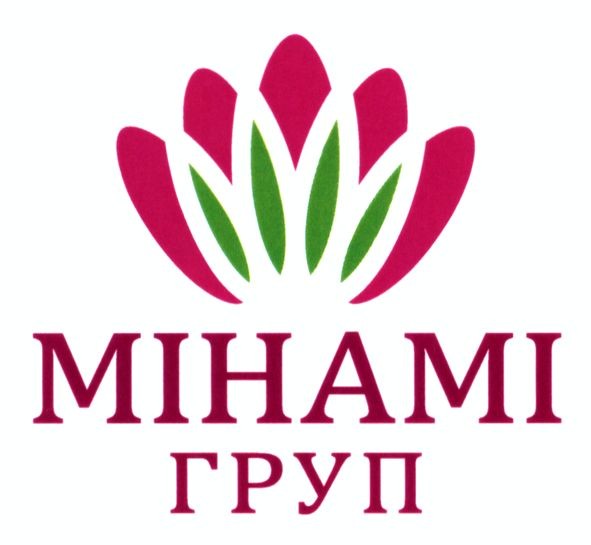 мінамі груп