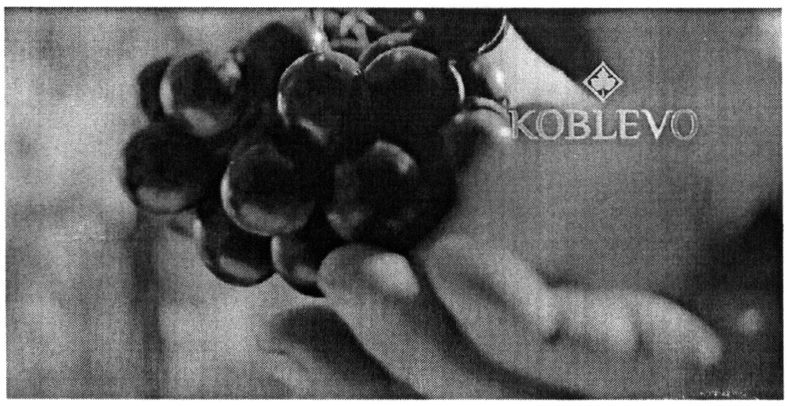 koblevo