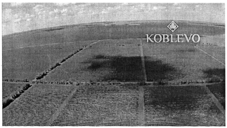 koblevo