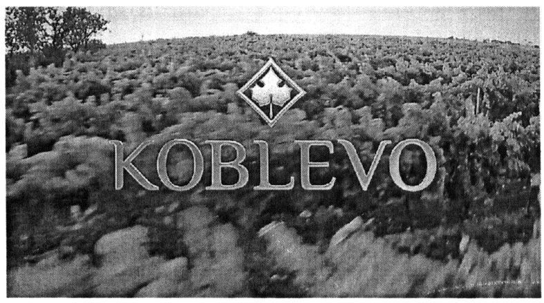 koblevo