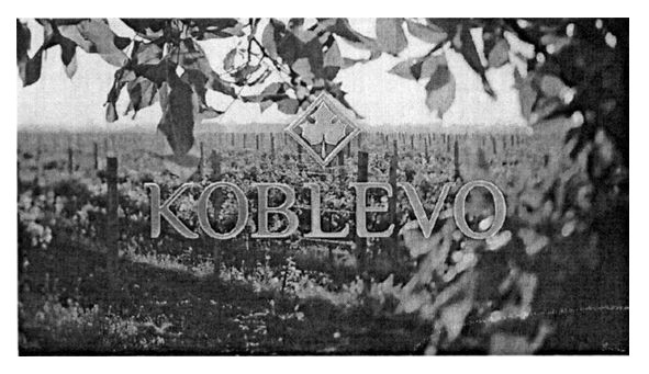 koblevo