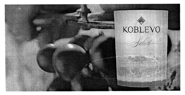 koblevo