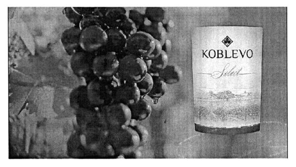 koblevo