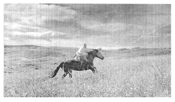 Фігуративна марка № 191992