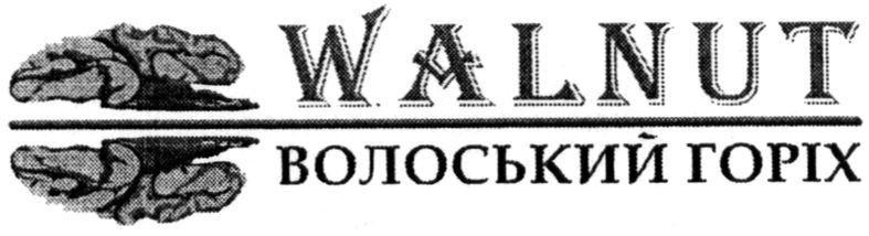 волоський горіх
