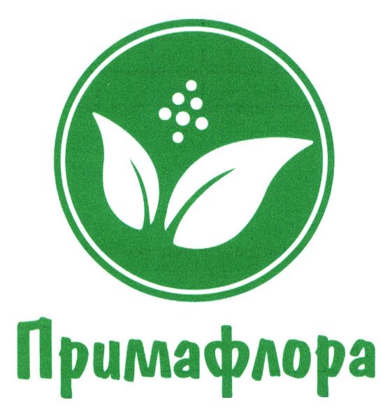 примафлора