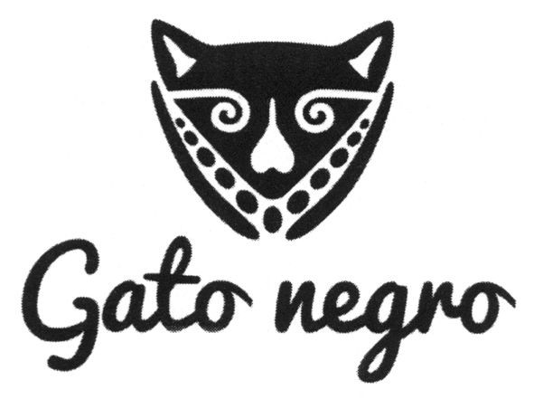 gato negro