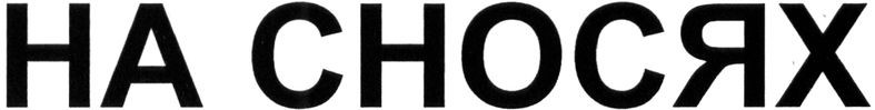 на сносях
