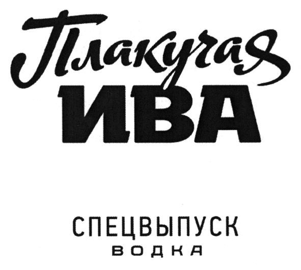 плакучая ива