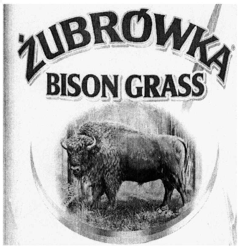 bison grass