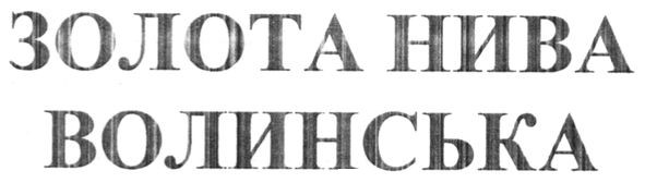 золота нива волинська
