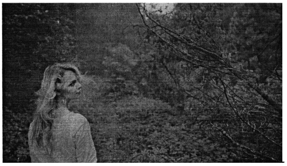 Фігуративна марка № m201319628