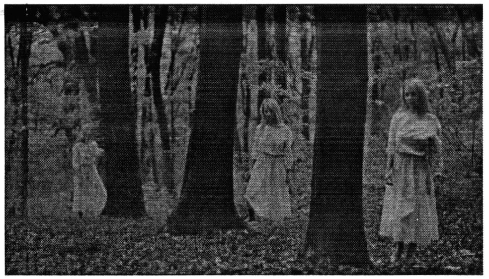 Фігуративна марка № m201319633