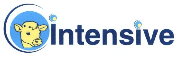 intensive