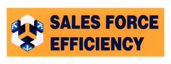 sales force efficiency