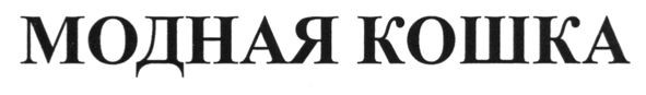 модная кошка