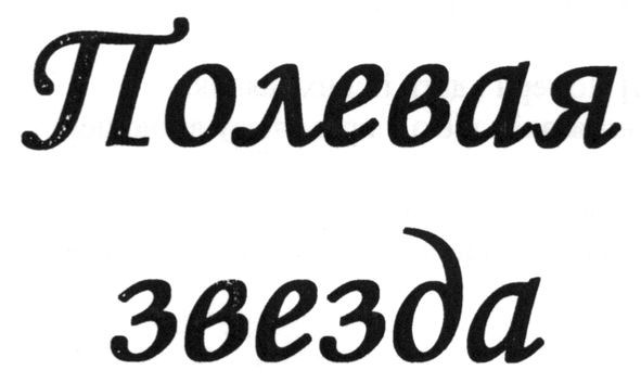 полевая звезда