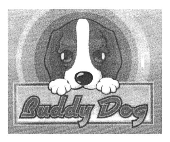 buddy dog