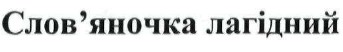 слов`яночка лагідний