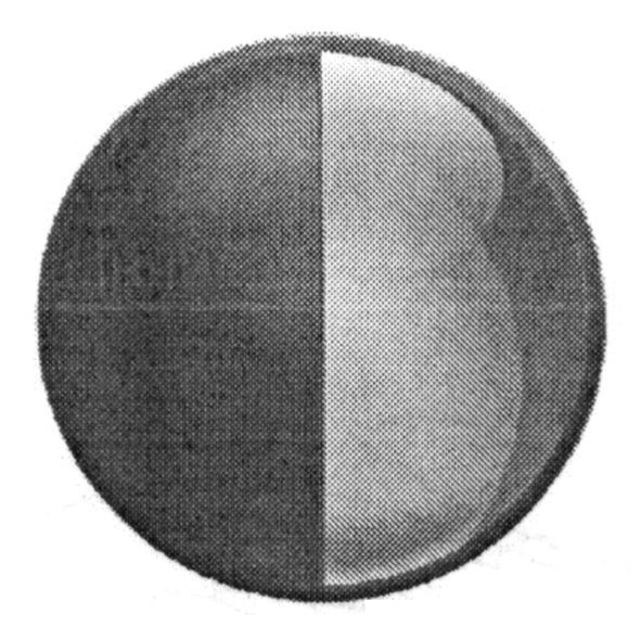 Фігуративна марка № 192682